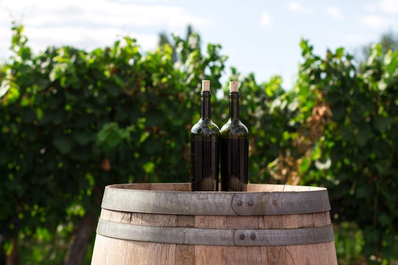 Bodega y viñedo tradicional